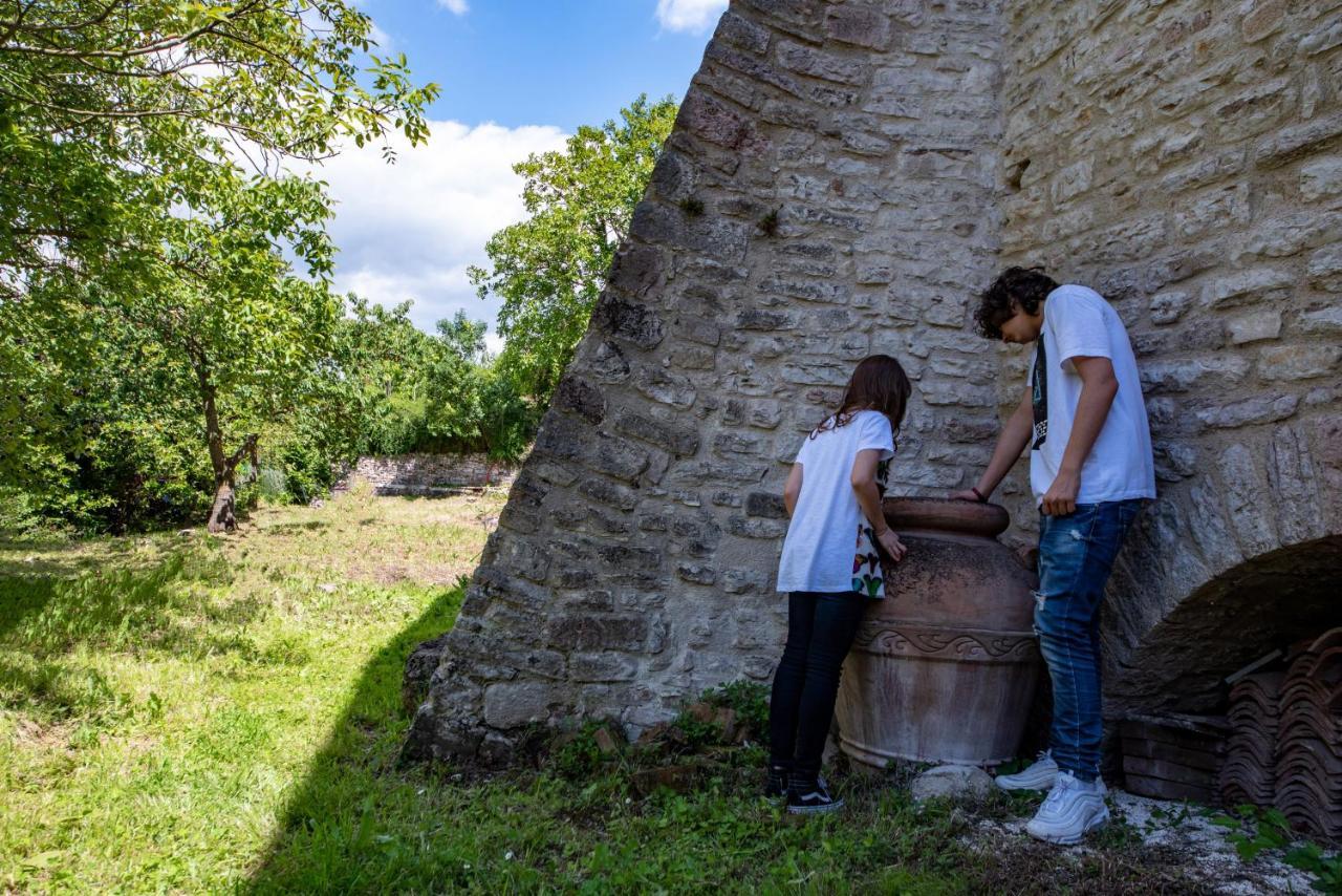 Perfetta Letizia Casa Vacanza Assisi Exteriör bild