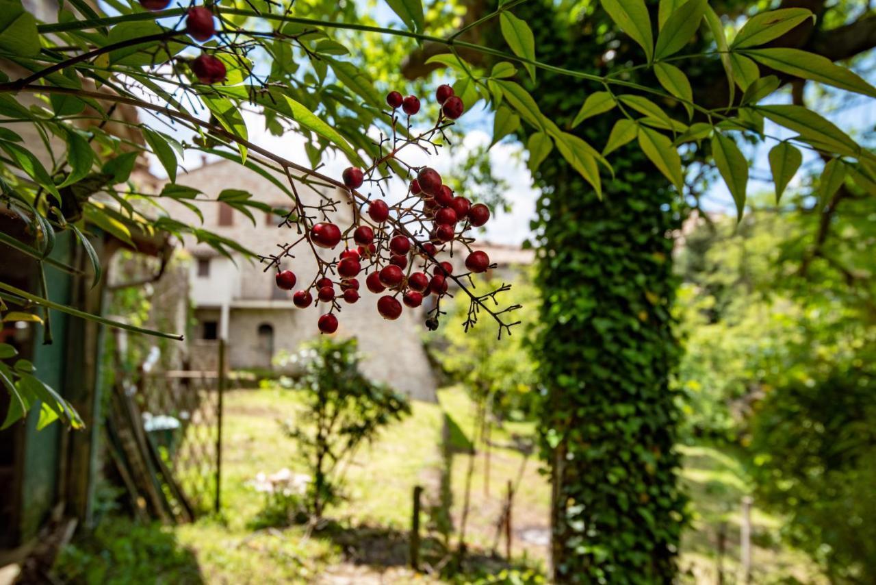 Perfetta Letizia Casa Vacanza Assisi Exteriör bild