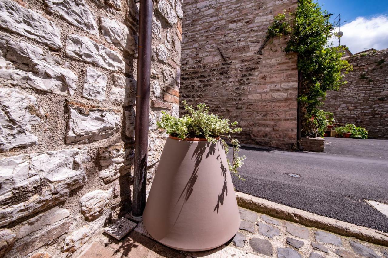 Perfetta Letizia Casa Vacanza Assisi Exteriör bild